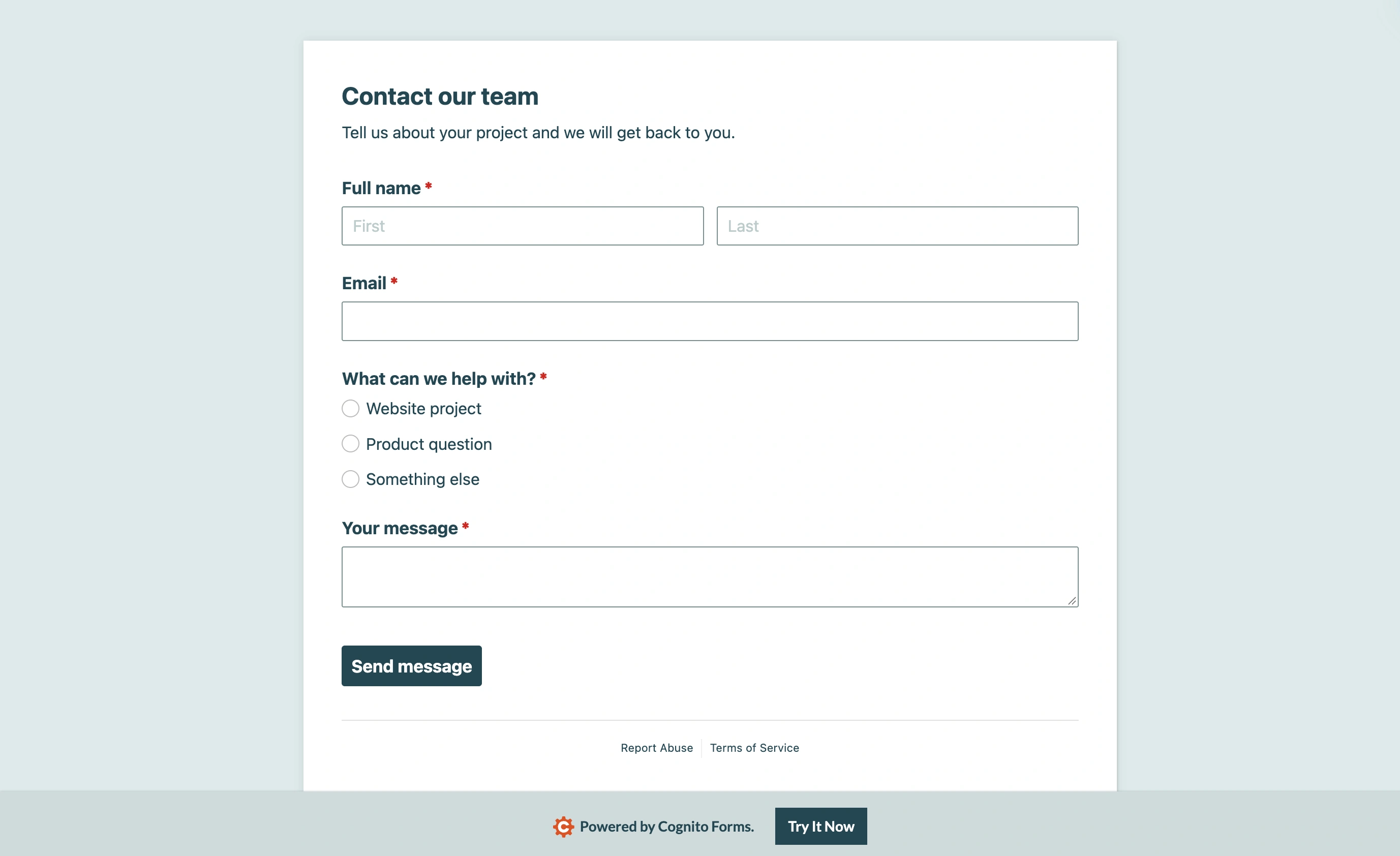 Respondent view of our sample form in Cognito Forms