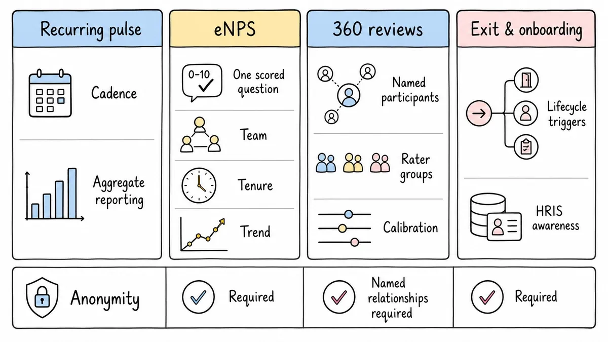 Four feedback jobs mapped to their essential software capabilities