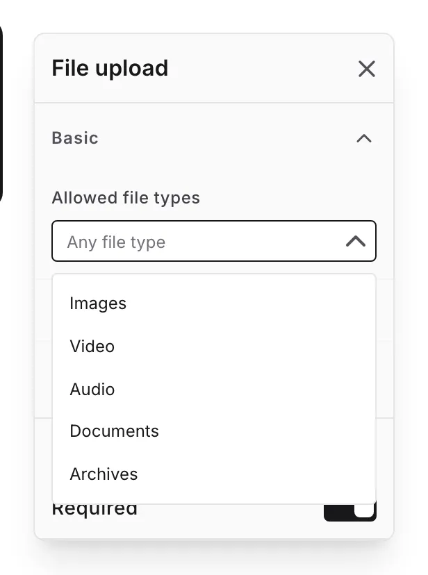 The Allowed file types setting with the list of file type categories open