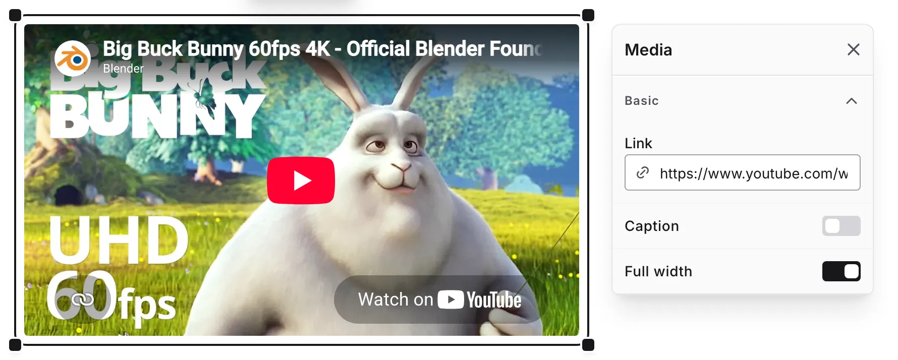 The Media settings popup showing the Link field and the Caption and Full width switches next to a selected YouTube embed